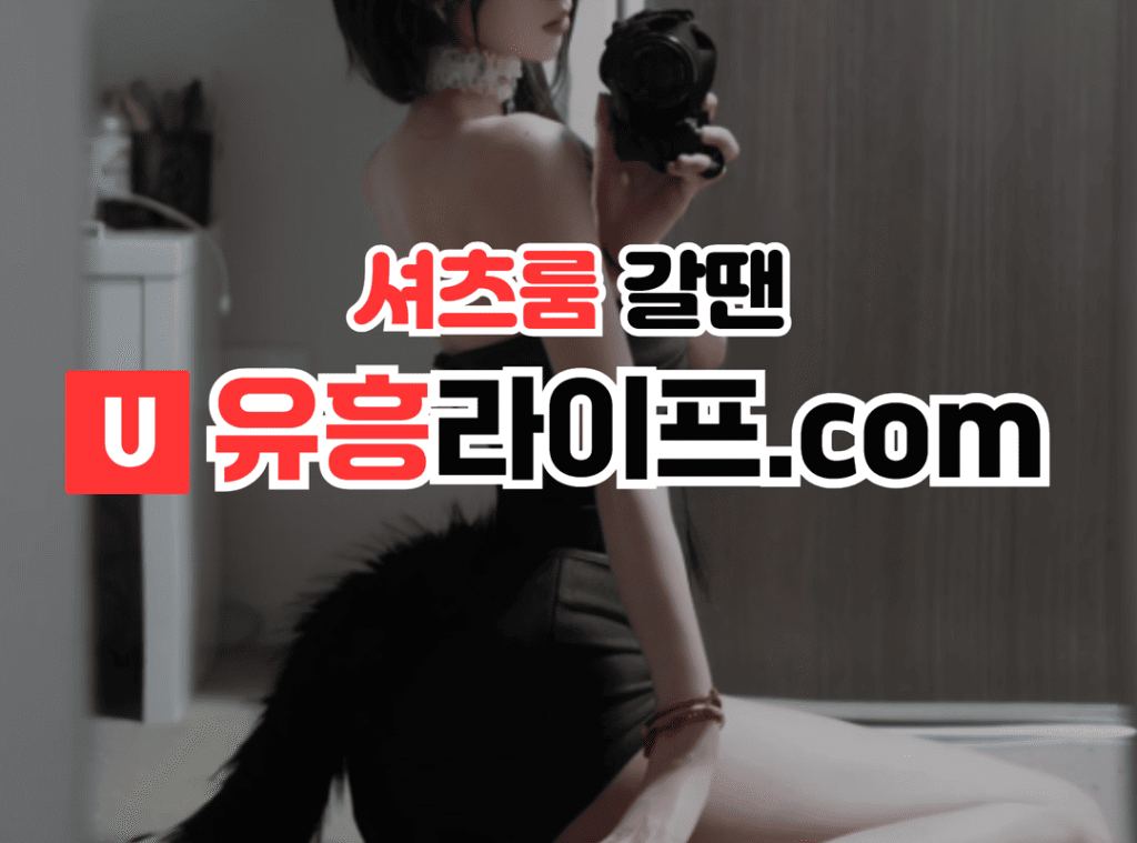 셔츠룸 가이드