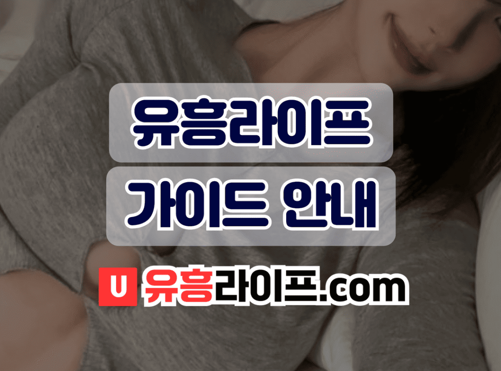 유흥라이프 가이드 안내